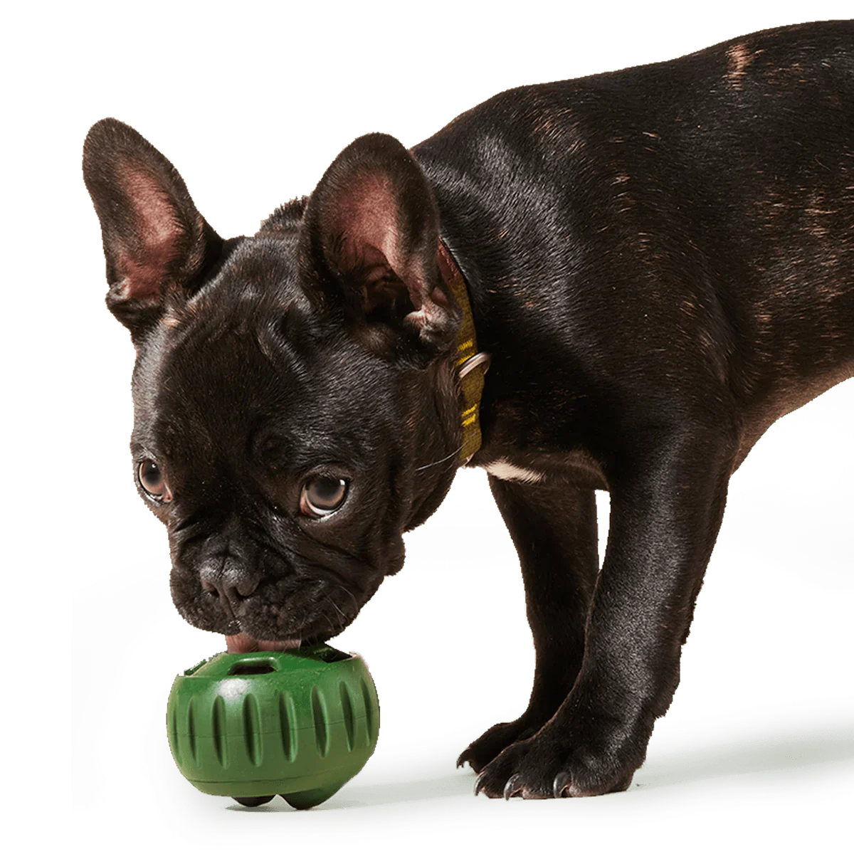 Woof Pupsicle Toys & Treat Trays
