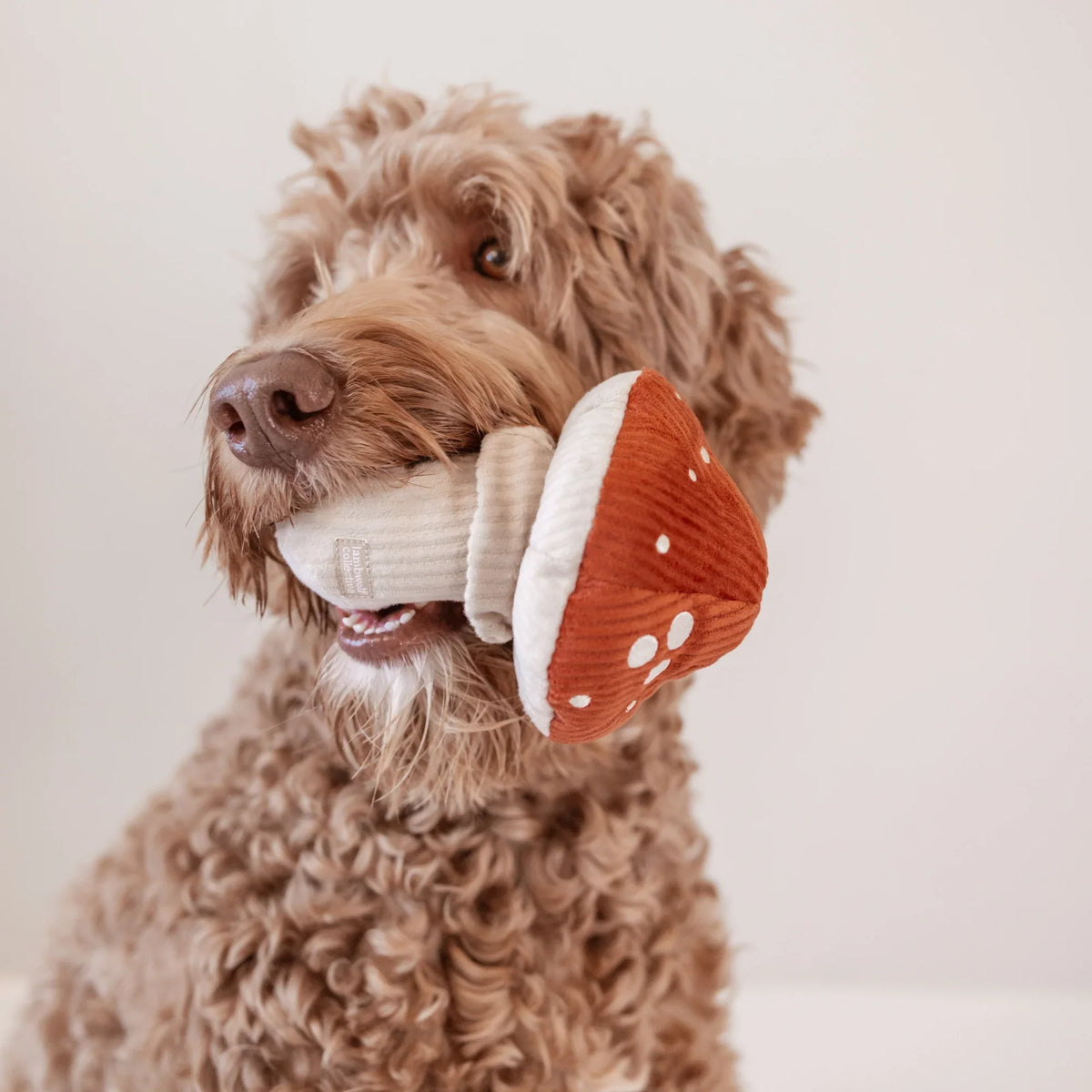 baby toys dog barking Walking and Barking Dog Toy for Girls