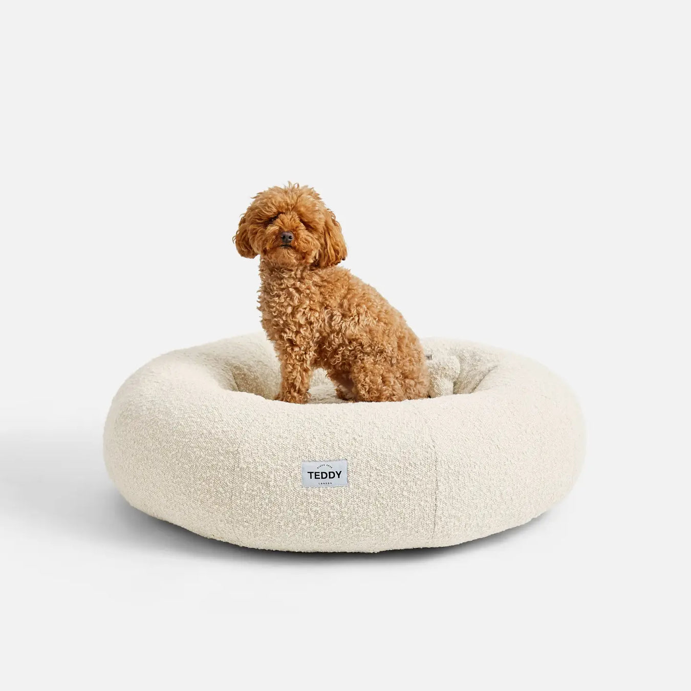 Luxury Dog Beds
