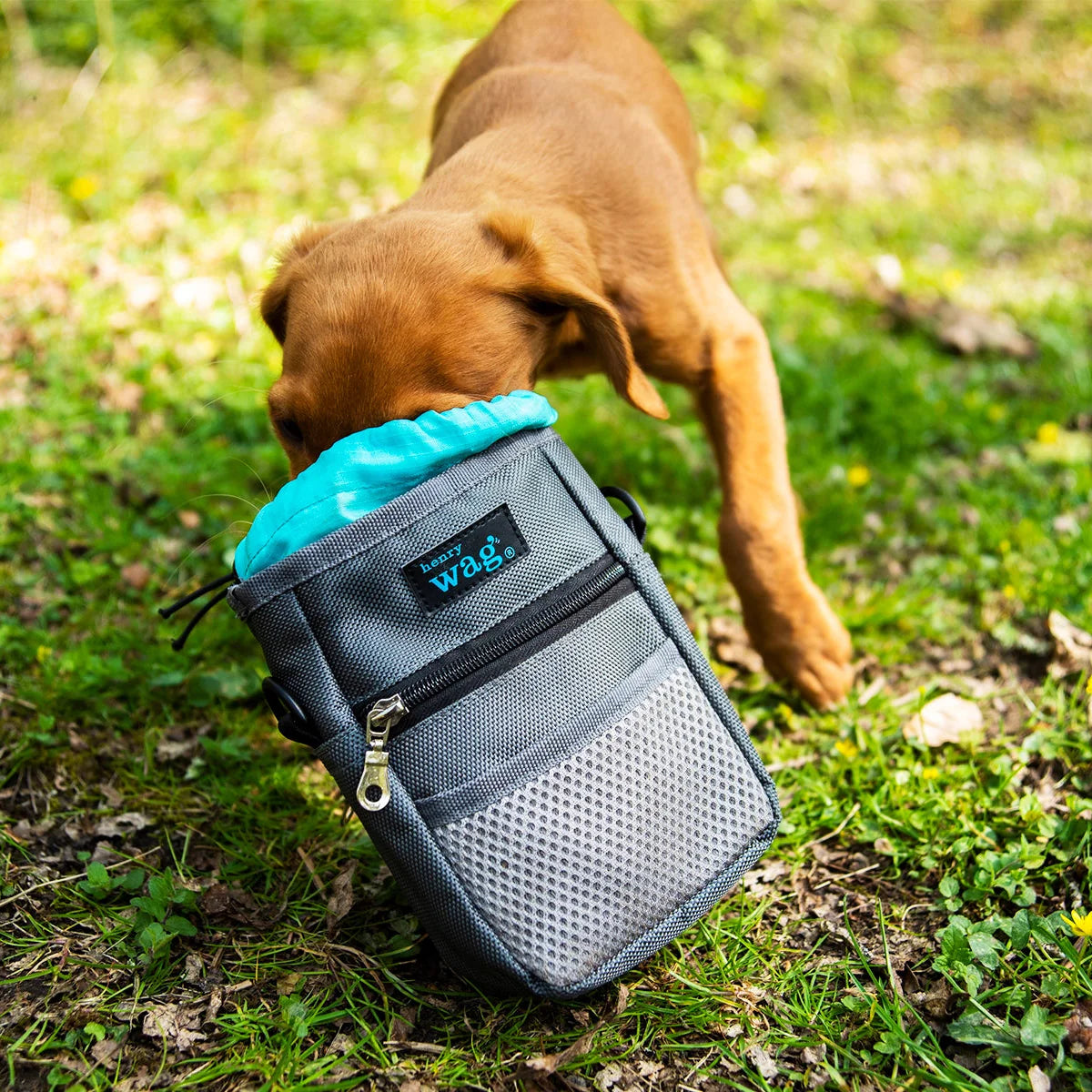 Dog Treat Bags and Pouches