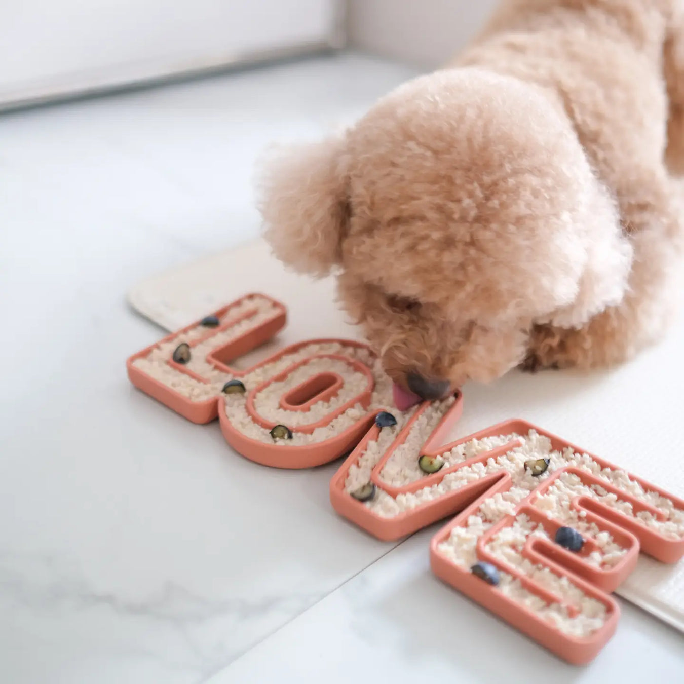 Dog Valentine's Presents