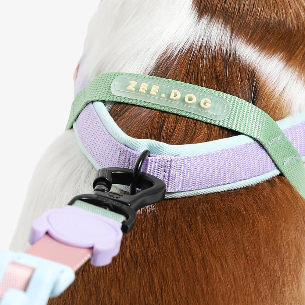 Popular Dog Products