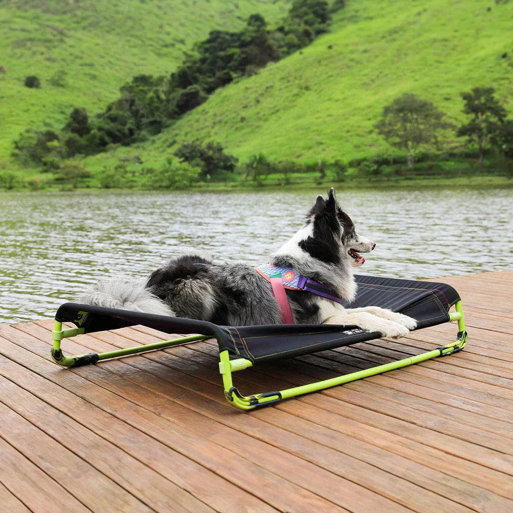 Summer Dog Beds
