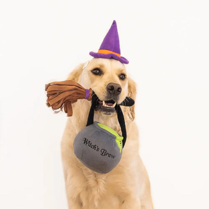 Halloween Costume Kit for Dogs - Witch