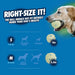 Dog playing with a ball, with size chart for dogs on a blue background