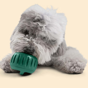 Woof Pupsicle Dog Toys, Treats & Trays