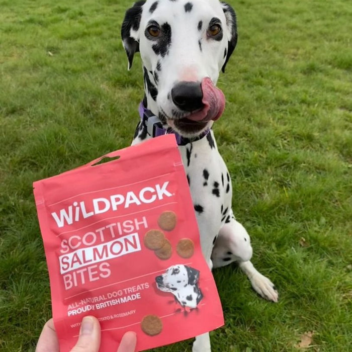 WILD PACK Scottish Salmon Bites- Natural Dog Treats