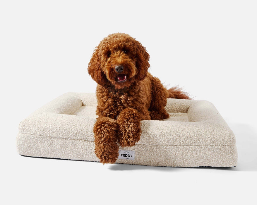 White Boucle Fabric Bed for Dogs - S/M/L