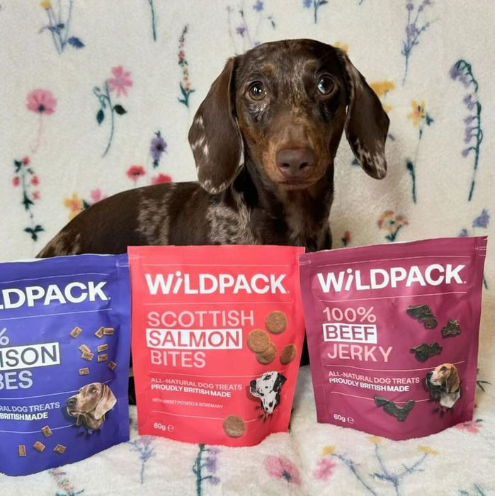 WILD PACK Natural Dog Treats Bundle - Beef Jerky, Venison Cubes, Scottish Salmon Bites