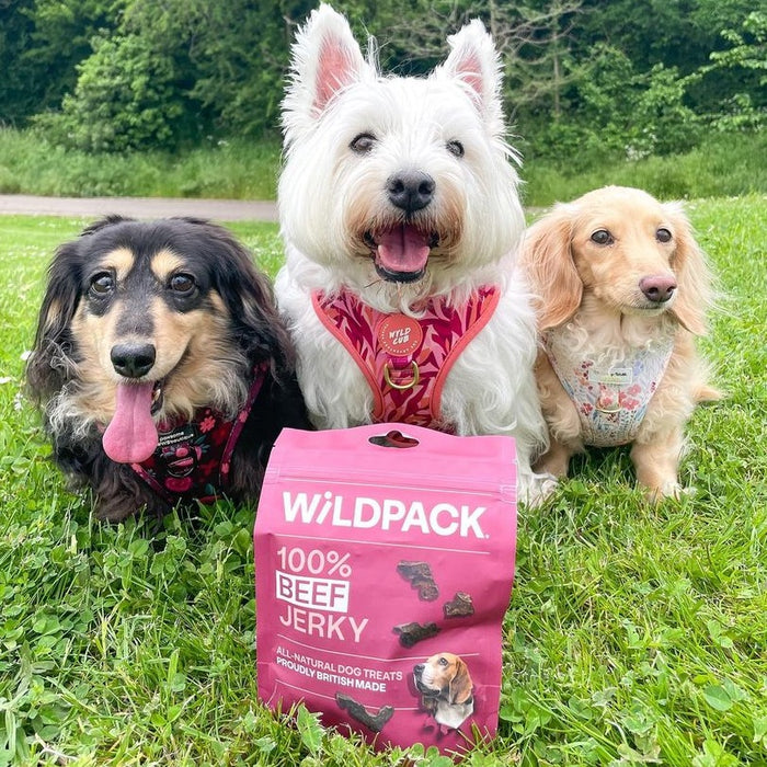 WILD PACK Beef Jerky - Natural Dog Treats