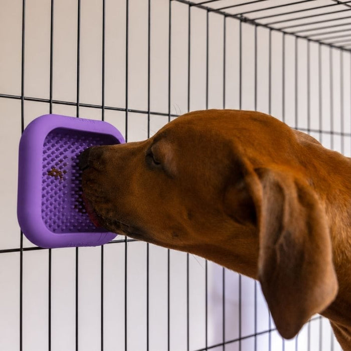 LickiMat CrateMate Dog Crate Lick Mat