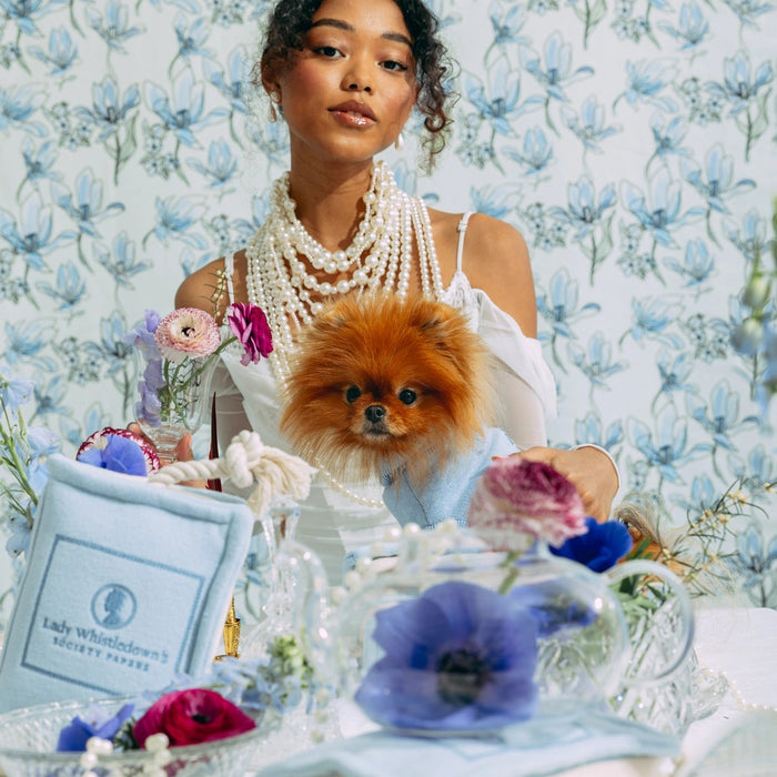 Bridgerton X maxbone Society Paper Plush Toy For Dogs