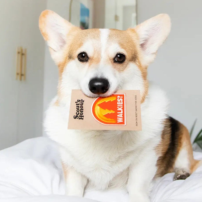 Scout's Honour, Walkies, Iron-On Patch for Pets