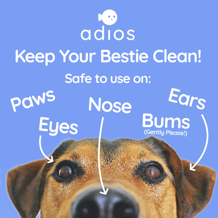 Adios Plastic Compostable Pet Wipes - 25 Per Pack