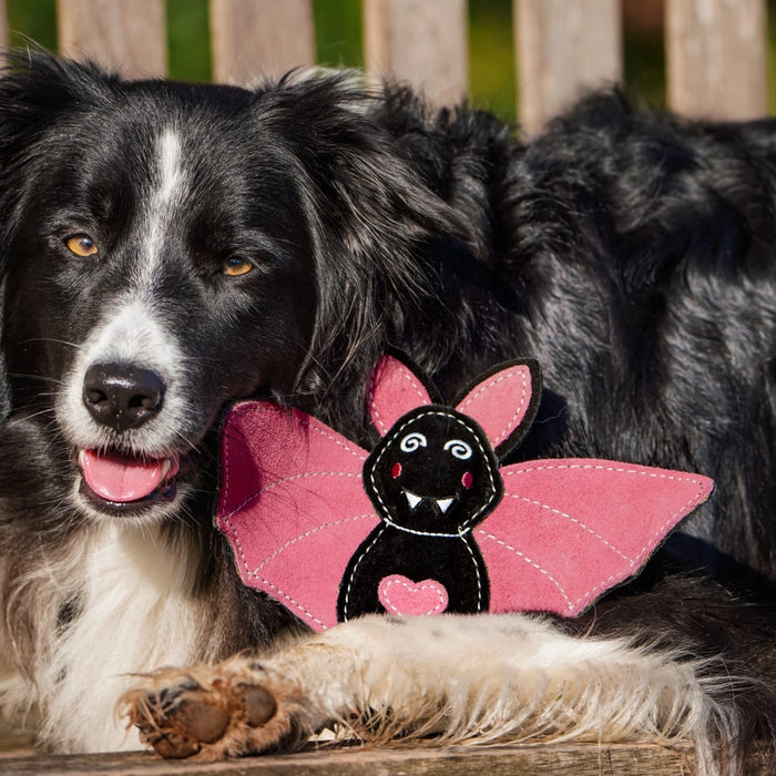 A black and white dog lying on a wooden surface with a pink and black bat-shaped plush toy resting near its chest.