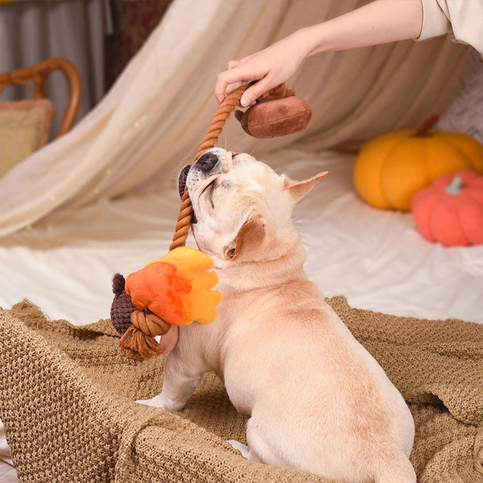 Autumn Tailz, Autumn Acorns, Dog Rope Toy