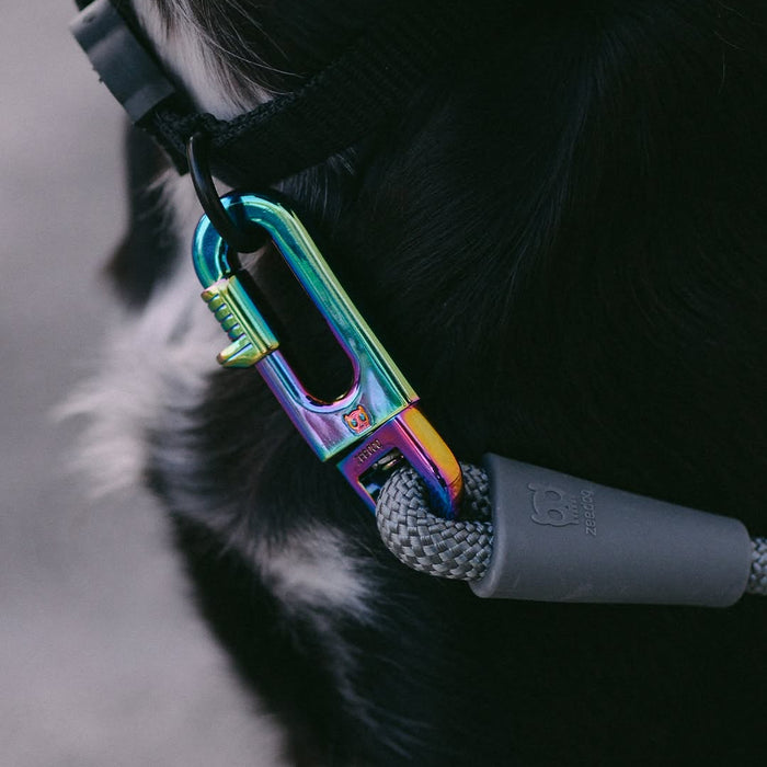 Zee.Dog Hands-Free Dog Lead - Titanium