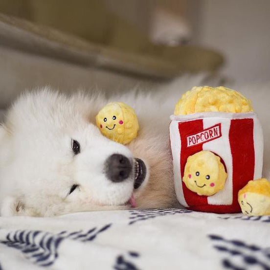 Popcorn Bucket Burrow, Soft Dog Toy