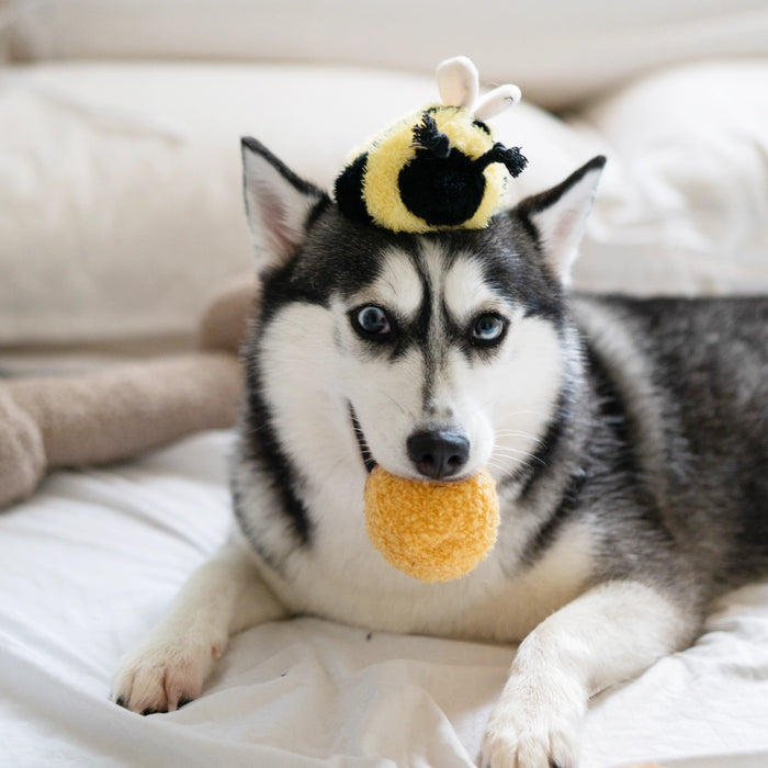 "Bee Pop" Bee Toy Enrichment Snuffle Ball Soft Toy for Dogs