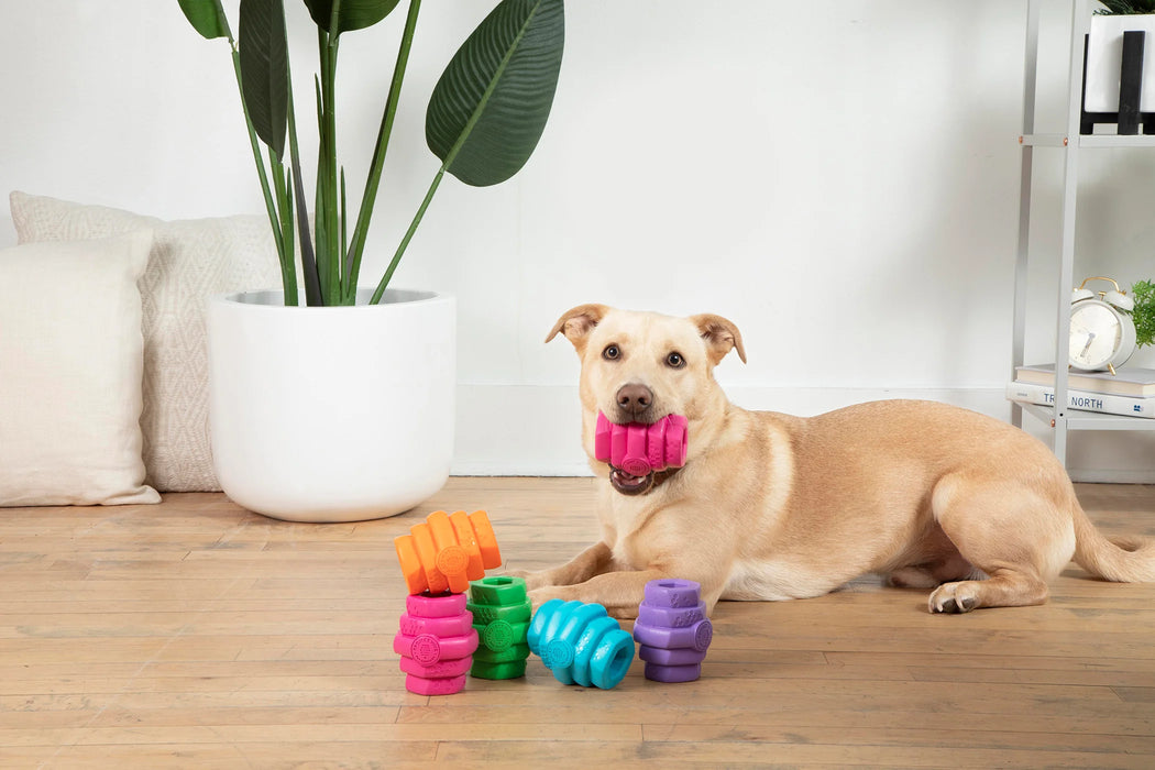 Scented Large Hive Treat Dispenser & Enrichment Toy for Dogs