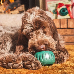 12 Days of Xmas: 12 Must-Have Gifts 🎁