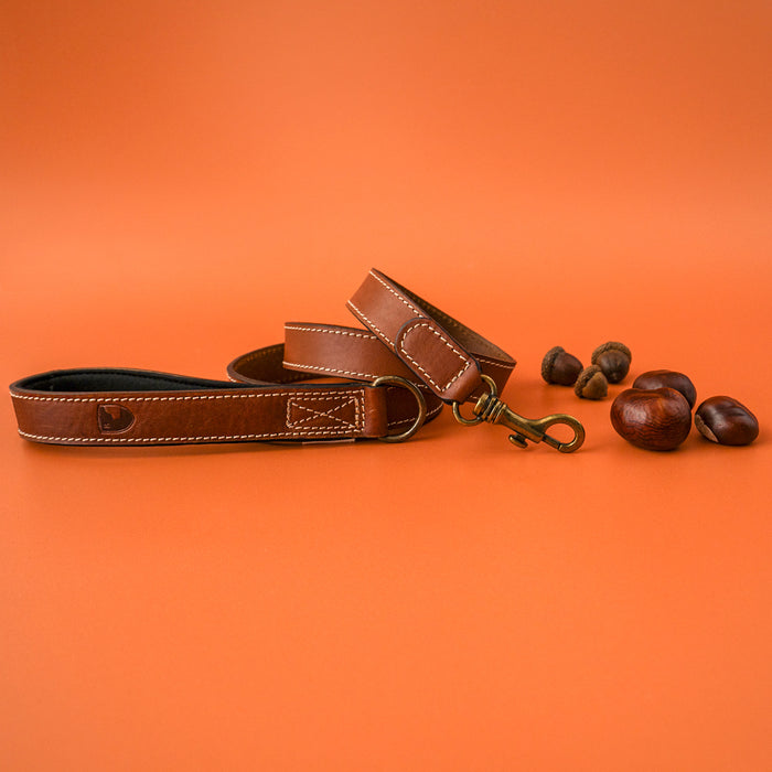 Buddys Dogwear Neo Leather Dog Lead