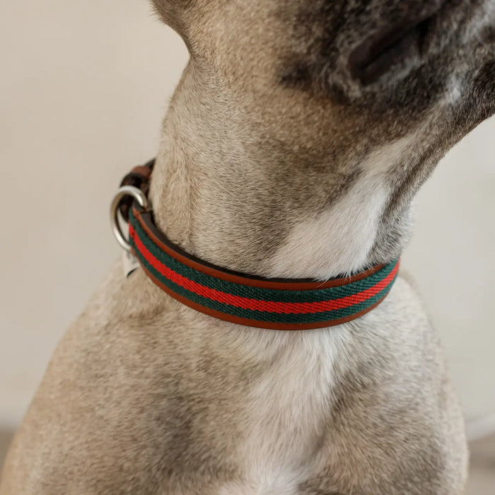 Buddys Dogwear Baseball Green Dog Collar