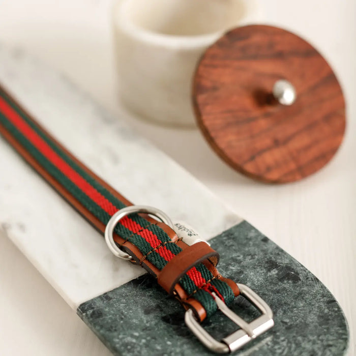 Dog leash with striped pattern and brown leather ends on a white background