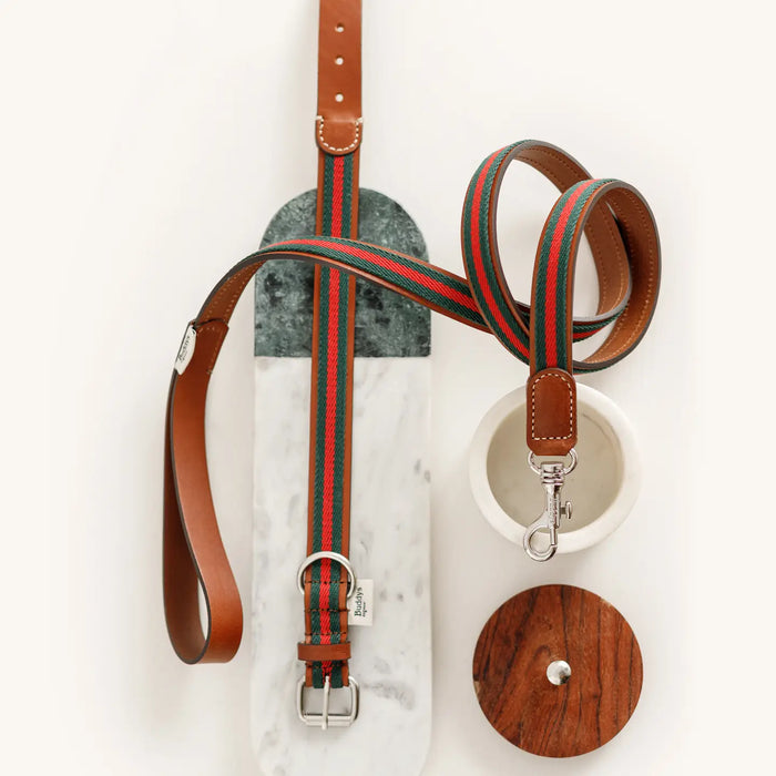 Dog leash with striped pattern and brown leather ends on a white background
