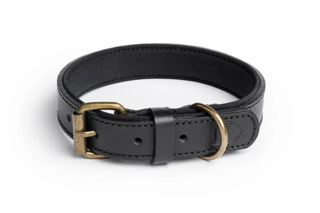 Neo Designer Leather Dog Collar Buddy s Dogwear WOOOF