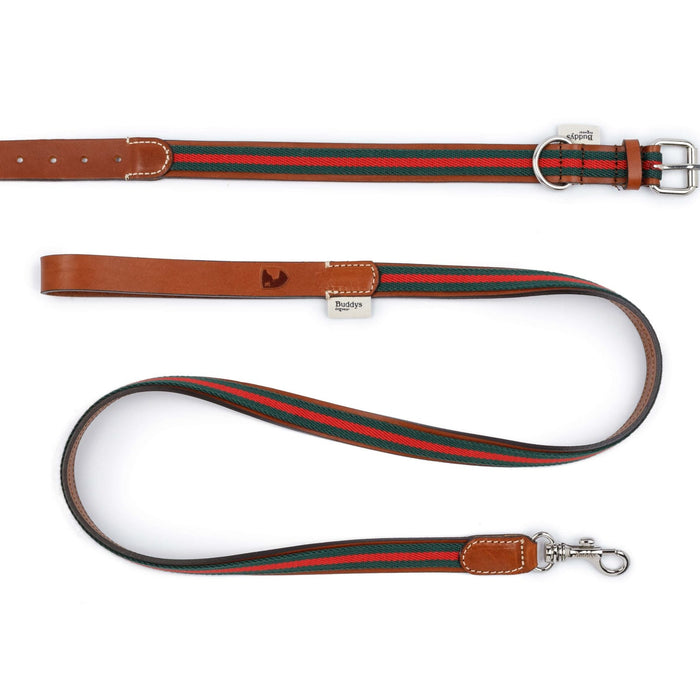 Dog leash and collar with red and green striped pattern on a white background