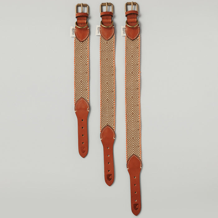 Buddys Dogwear Capri Isola Dog Collar