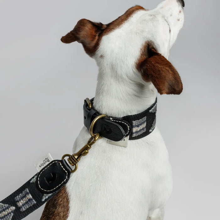 Buddys Dogwear Etna Dog Lead