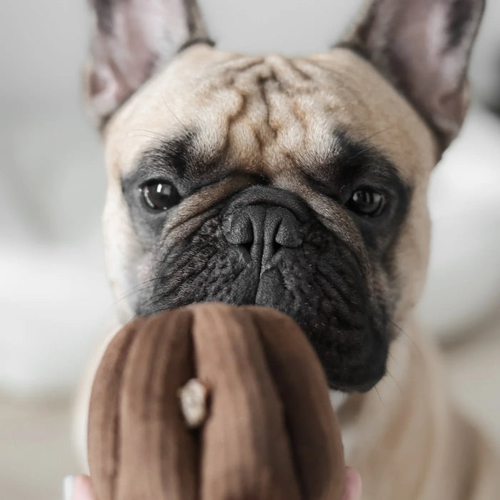 Canele Soft Snuffle Enrichment Toy for Dogs