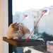 Cat playing with a window-mounted bed attached to a glass door