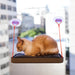 Cat sitting on a bed attached to window