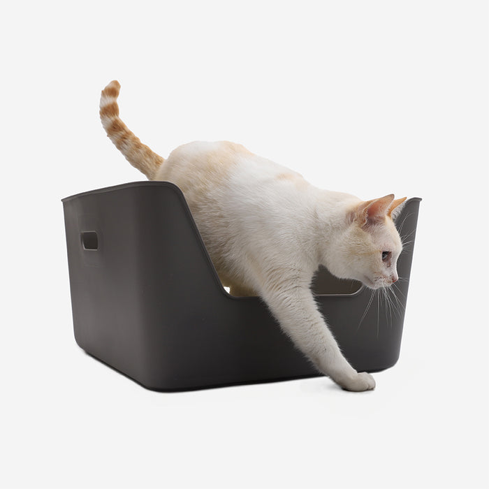 Cat climbing into a black cat box on a white background