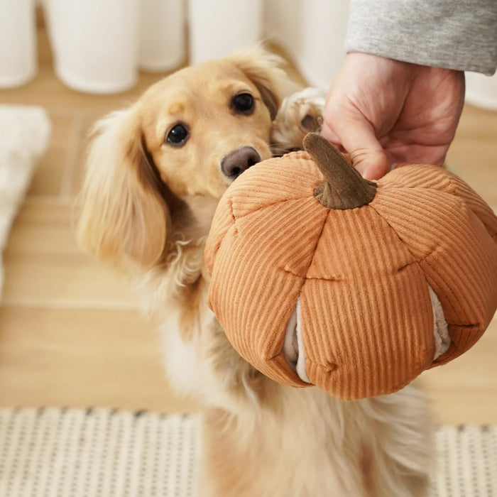 Cinderella Halloween Pumpkin Soft Snuffle Enrichment Toy for Dogs