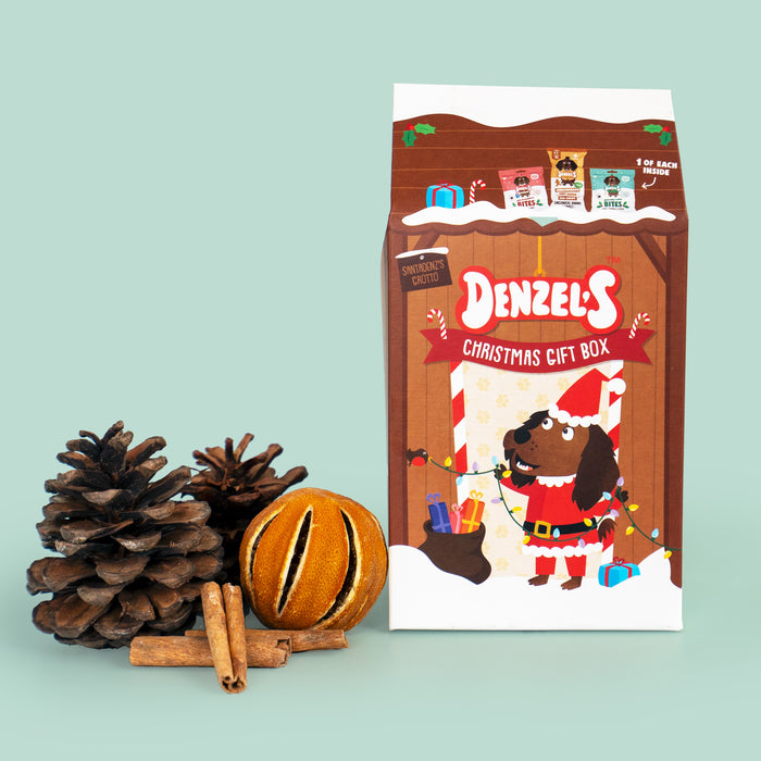 Denzel's Christmas Grotto Gift Box for Dogs (175g)