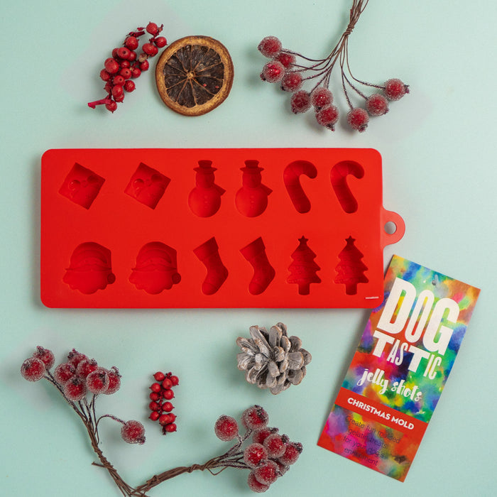 Silicone Christmas Shapes Mould Treat Tray for Dogs