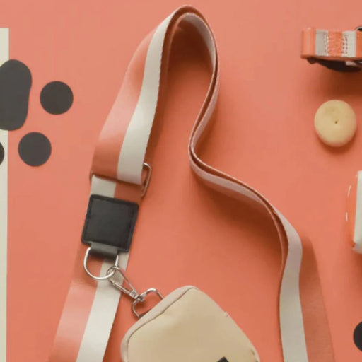 Orange stripe strap flatlay lifestyle