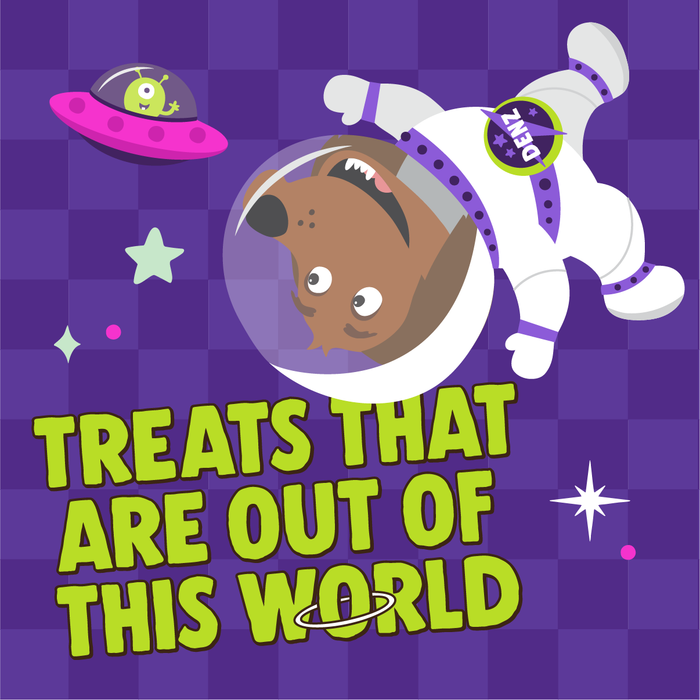Denzel's NEW! Bites - Space Mix Duck & Apple Dog Treats - 90g