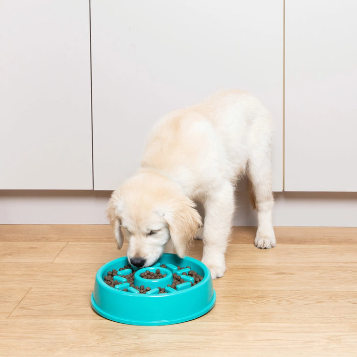 Doughnut Shaped Enrichment Slow Feeder Bowl for Dogs