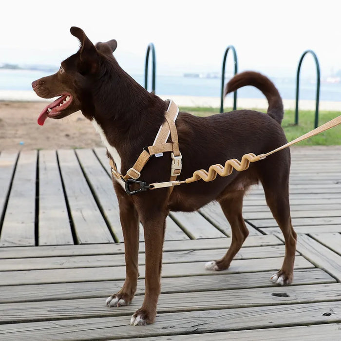 Naurals Softer Walk Dog Harness Dune