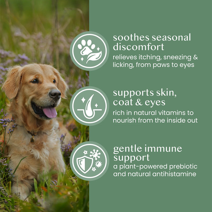 Fettle Natural Nettle Powder for Dog & Cat Allergies - 125g