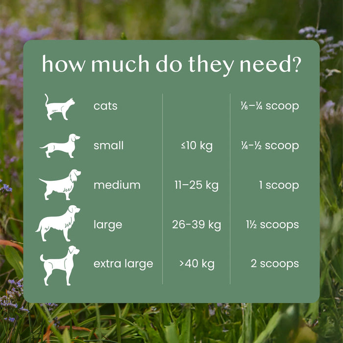 Fettle Natural Nettle Powder for Dog & Cat Allergies - 125g