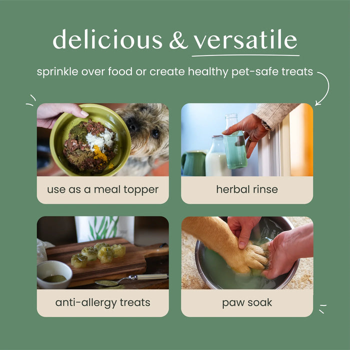 Fettle Natural Nettle Powder for Dog & Cat Allergies - 125g