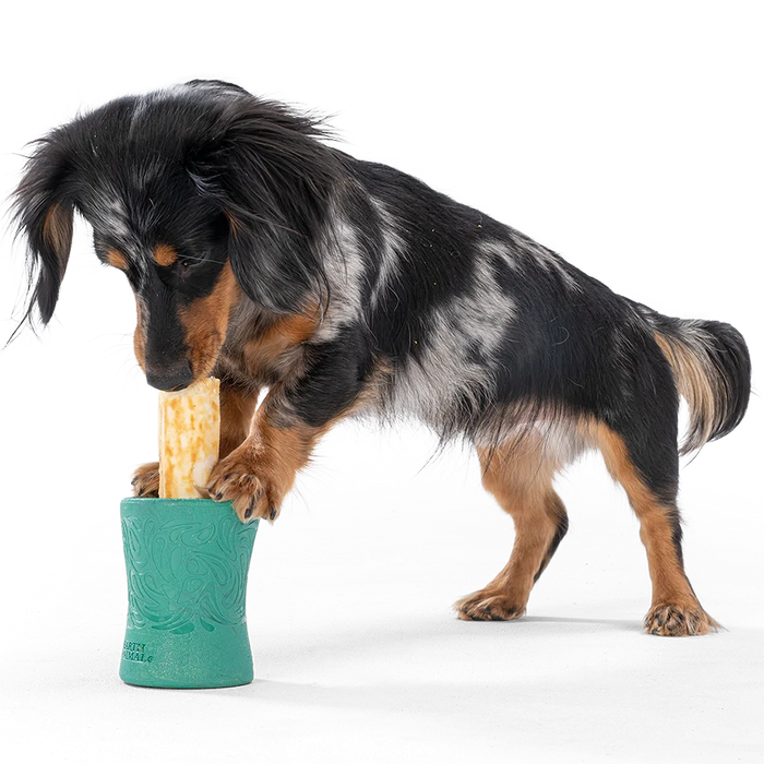 Seaflex FUNNL Chew Holder for Dogs in Collaboration with No-Hide Earth Animal