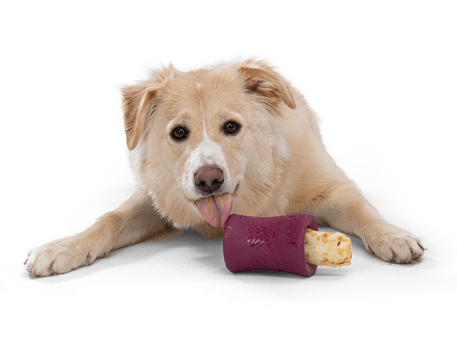 Seaflex FUNNL Chew Holder for Dogs in Collaboration with No-Hide Earth Animal