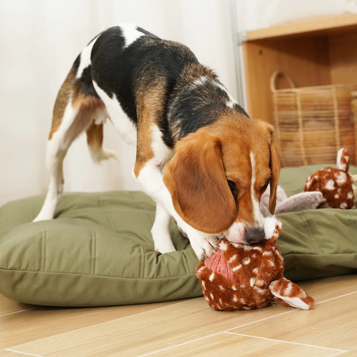 Fawn Pop Soft Enrichment Toy for Dogs